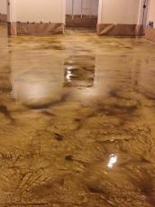 Pool Deck